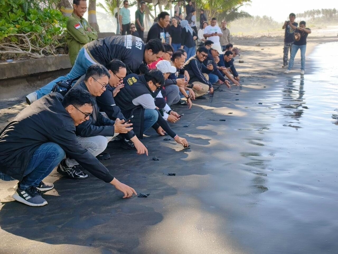 Pegadaian Kanwil VII Denpasar Dukung Konservasi Penyu di Jembrana