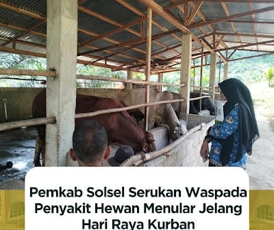 Pemkab Solok Selatan Wajibkan SKKH Hewan Kurban Guna Cegah Penyakit Menular
