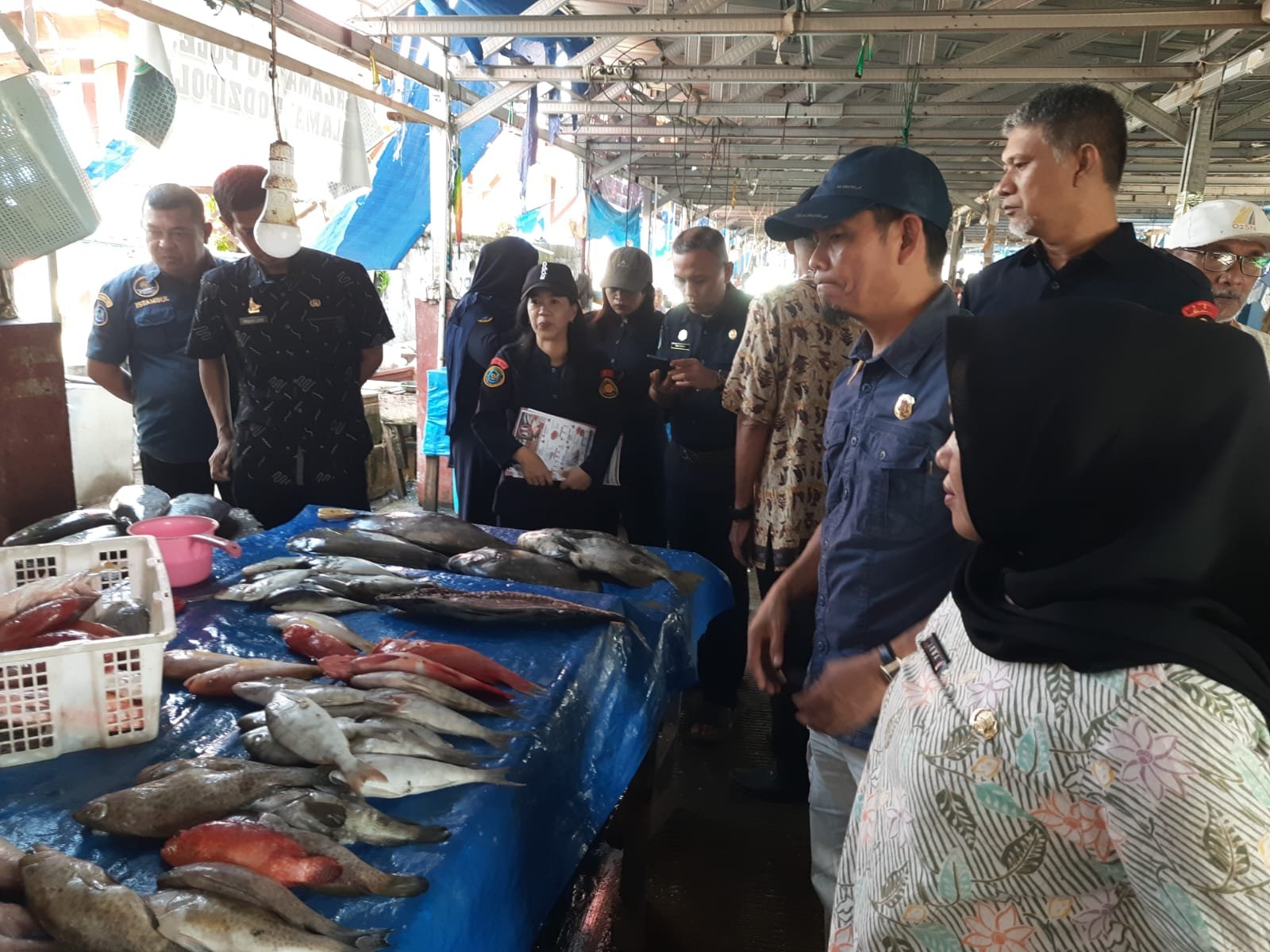 Dinas Kelautan Sulbar Edukasi Pedagang PPI Binanga Mamuju Cegah Ikan Berformalin