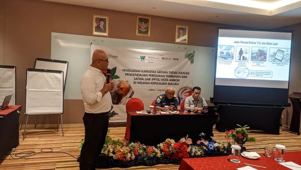 BKHIT Maluku Perketat Pengawasan Satwa Liar di Pintu Masuk Ambon