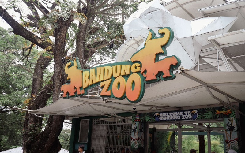 Pemkot Bandung Jamin Satwa Bandung Zoo Aman Meski MoU Berakhir