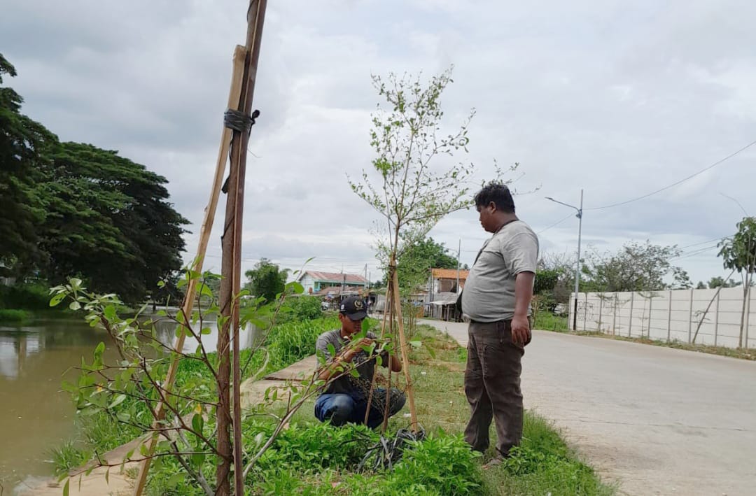 Gerakan Banten Teduh Tangerang Sejuk Dorong Aksi Tanam Pohon Masif