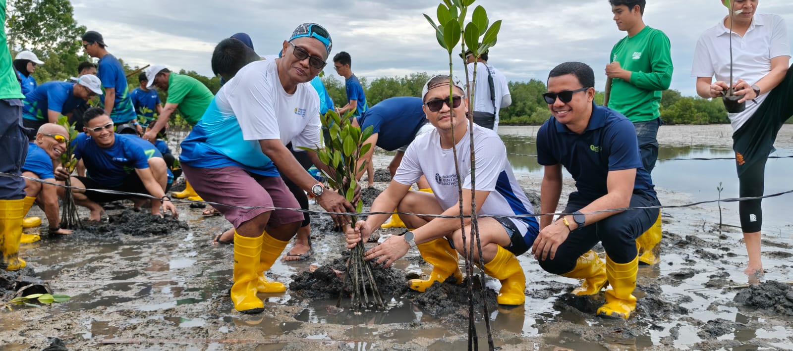 Pelari Bintan Marathon Kompensasi Jejak Karbon Lewat Penanaman Mangrove