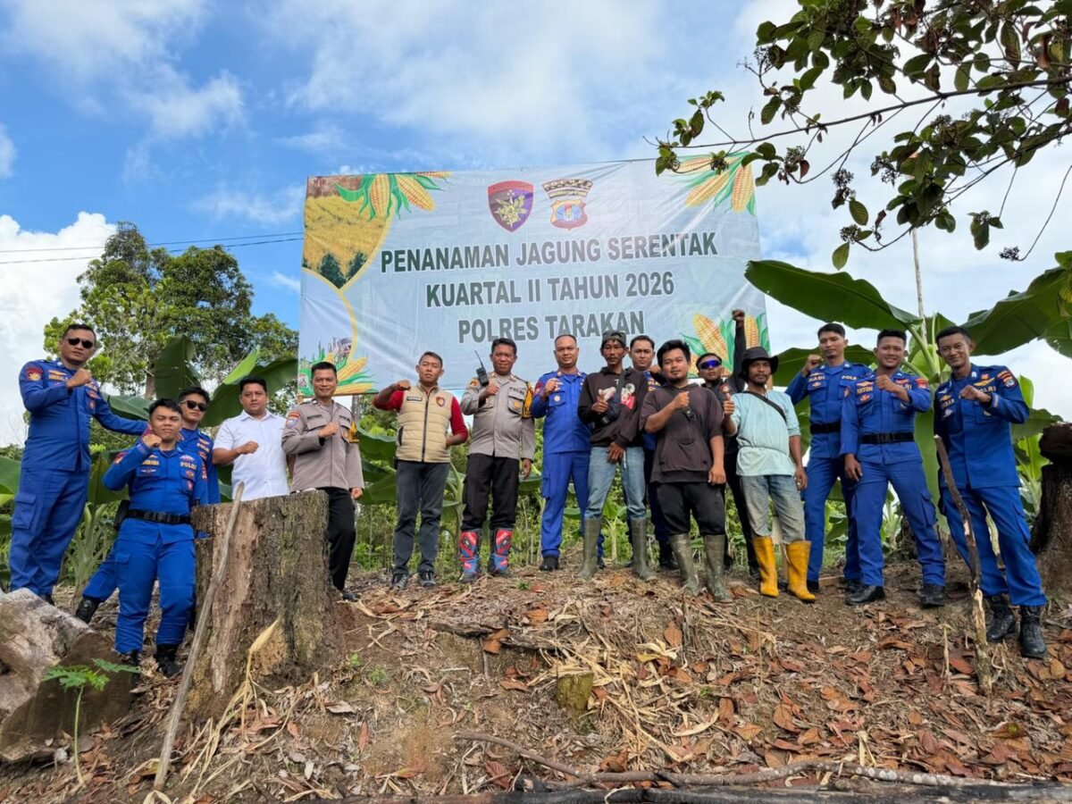 Polres Tarakan dan Petani Tanam Jagung, Target Panen Agustus 2026