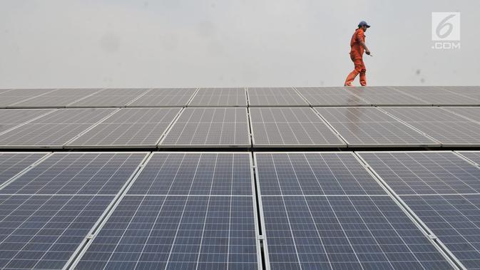 PLN Raup Pendapatan Baru dari Monetisasi Karbon Lewat Proyek PLTS