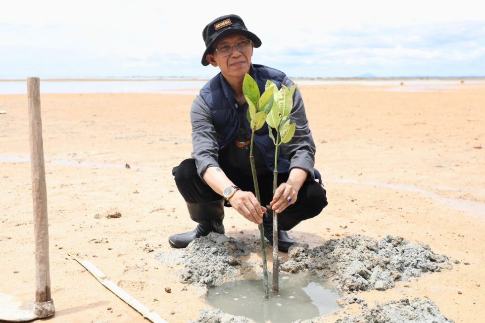 Mangrove Batam Susut 10 Ribu Hektare, Amsakar Tanam 2.000 Bibit
