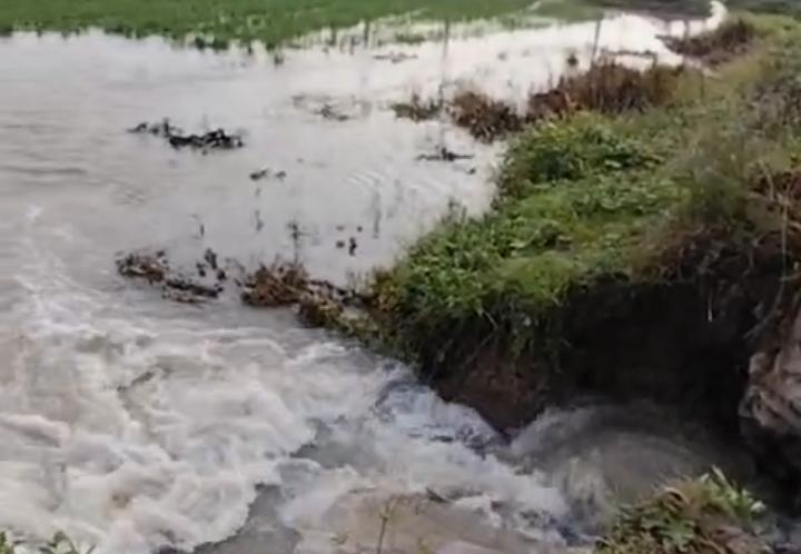 2 Tanggul Irigasi di Karawang Jebol dalam Sepekan, Puluhan Hektare Sawah Terancam Banjir