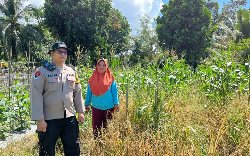 Polresta Bulungan Kawal Penanaman Jagung di Desa Pejalin, Target Panen 300 Kg Juni 2026