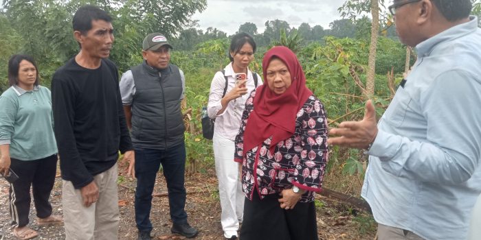 Wagub Sulteng Renny Lamadjido Pastikan Kelanjutan Kawasan Pangan Nusantara 200 Hektare di Donggala