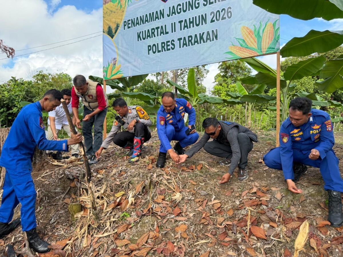 Polres Tarakan Tanam Jagung Pipil di Kampung Satu Skip Perkuat Ketahanan Pangan