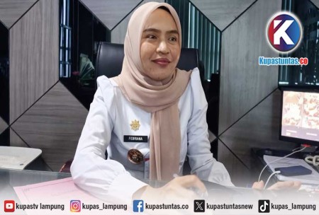 Investasi Bandar Lampung Tembus Rp744,6 Miliar, Sektor Jasa Dominan