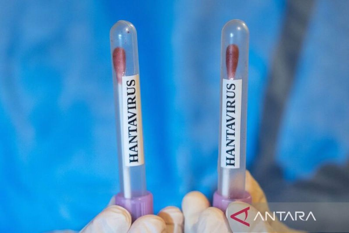 Dinkes DIY Waspadai Hantavirus Usai 6 Kasus Positif pada 2025, Sleman Catat Terbanyak
