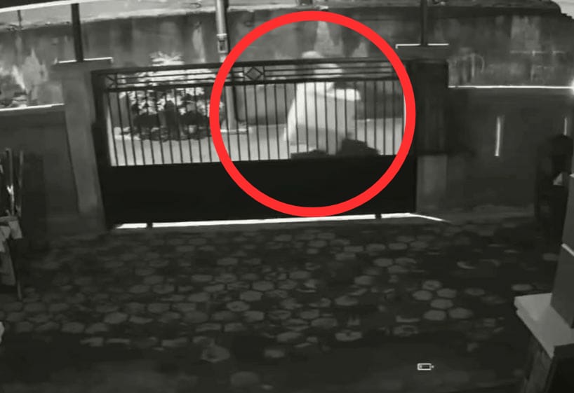 Mesin Cuci Raib Saat Pemilik Tidur, Maling Terekam CCTV di Baubau