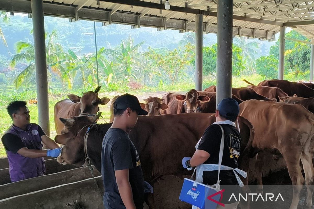 Antisipasi PMK, DPKHP Cianjur Periksa Ribuan Hewan Kurban dari Lampung dan NTB Sejak April 2026