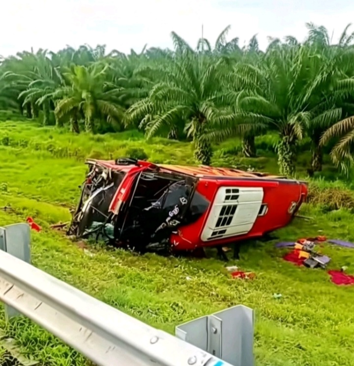 Bus Halmahera Tabrak Pickup Ayam di Tol Sergai, 4 Tewas dan 19 Luka Berat