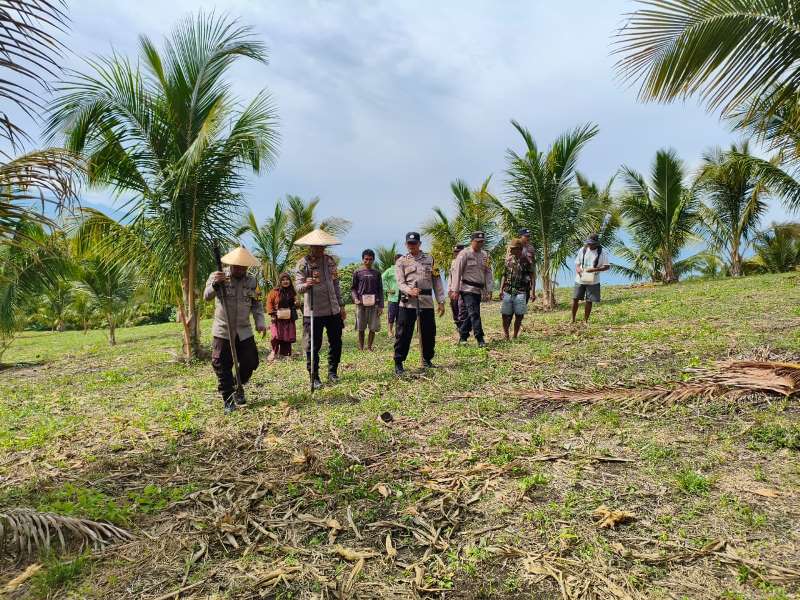 Polsek Ulubongka dan Tojo Bantu Warga Tanam Jagung 20 Hektare di Touna