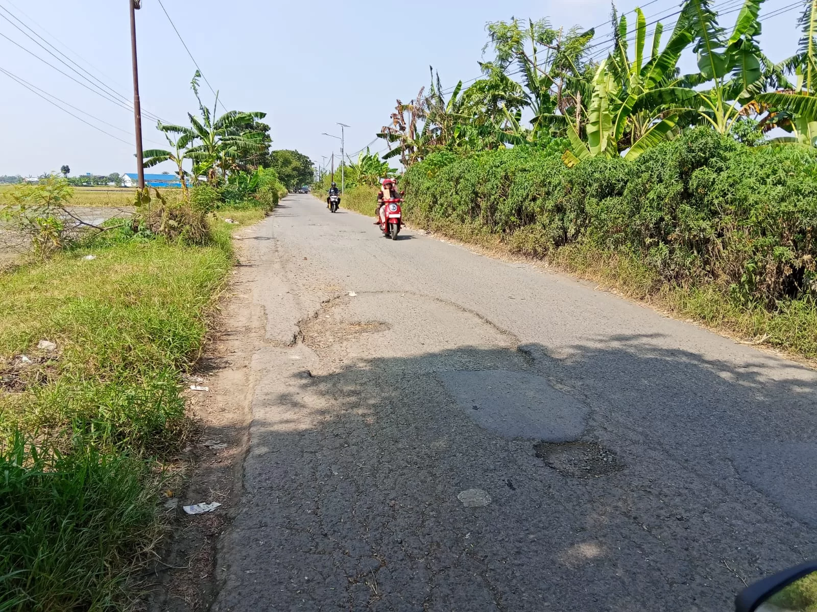 Rp 1 Miliar untuk Perbaikan Jalan Guyangan-Jetak yang Rusak Parah