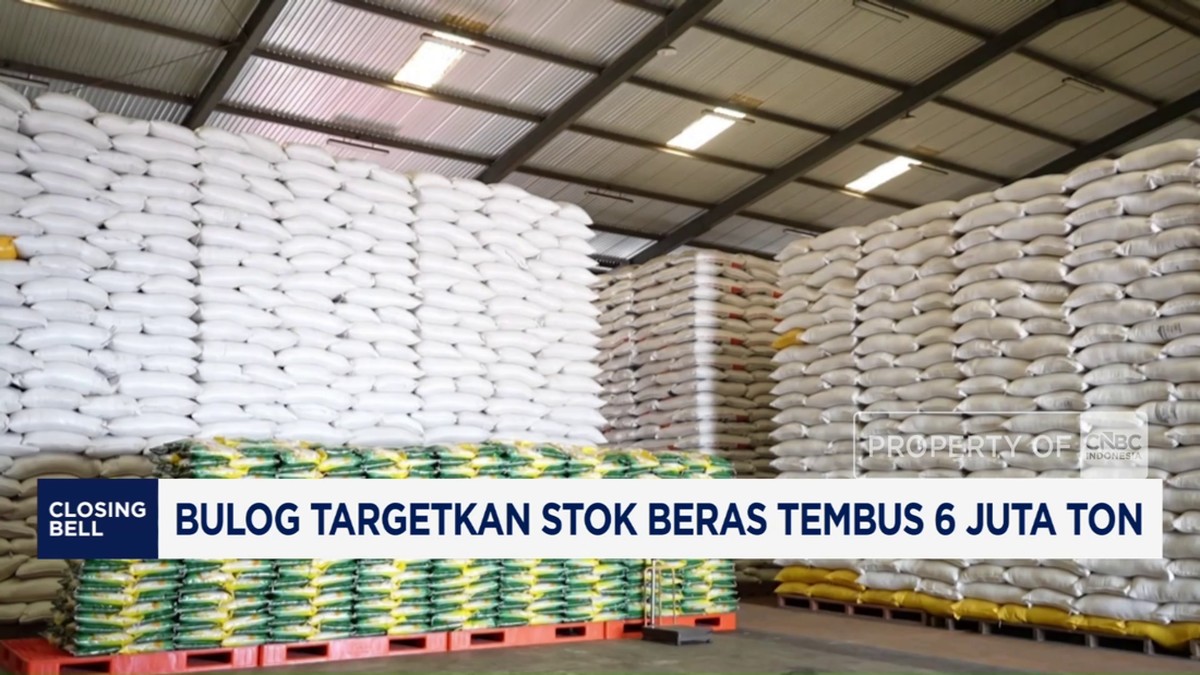 Target Stok Beras Bulog 6 Juta Ton, Lampaui Rekor Tahun Lalu