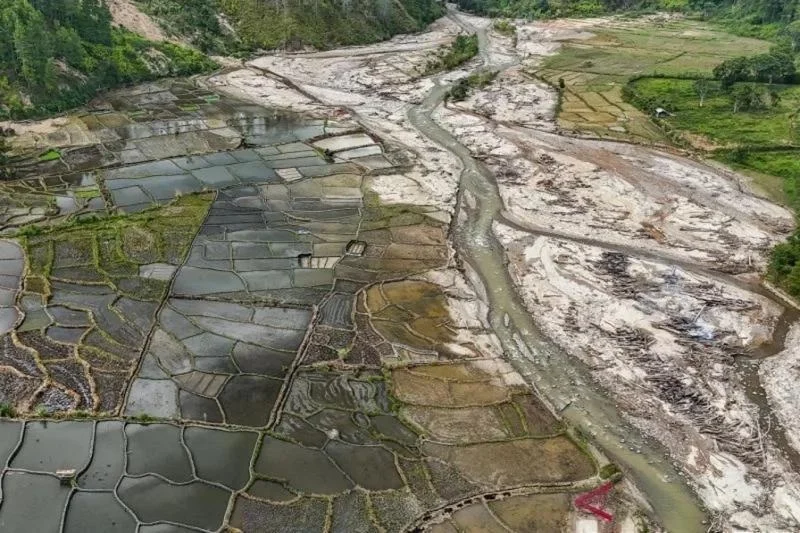 Rehabilitasi 31.464 Hektare Sawah Aceh: 2.110 Hektare Mulai Ditanami