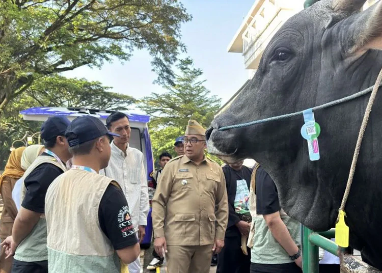 Pemkot Bandung Terjunkan 184 Petugas Periksa Kesehatan Hewan Kurban Sebelum Iduladha 2026