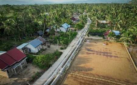 Brantas Abipraya Rehabilitasi Irigasi 14 Km di Lampung Barat, Target Layanan 1.102 Hektare Sawah