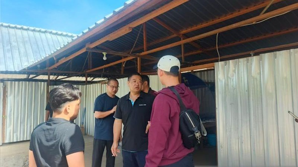 24 WN China Diamankan di Tambang Emas Gunung Botak Pulau Buru, 15 Orang Hanya Punya Izin Kunjungan
