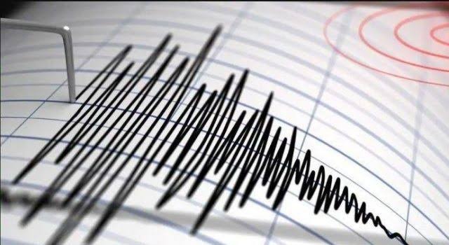 Gempa Magnitudo 3,3 Guncang Buru Selatan, Pusat di Kedalaman 5 Km, Tak Berpotensi Tsunami