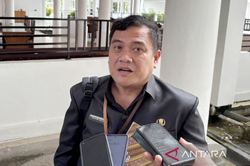 Anggaran Belanja Modal di Kas Daerah Minim, DPUPR Barito Selatan Tunda Proyek Jalan dan Jembatan
