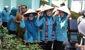 Ketua TP PKK Sumsel Feby Deru Dorong Kebun PKK Jadi Wisata Petik dan Bentuk Desa Percontohan di OKI