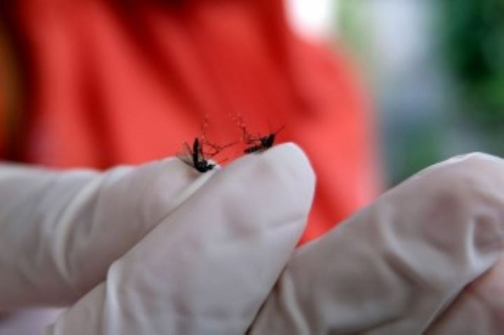 Kasus DBD di Lebak Capai 391 Selama Januari-April 2026, Dinkes Minta Warga Aktifkan 3M Plus Antisipasi Peralihan Musim