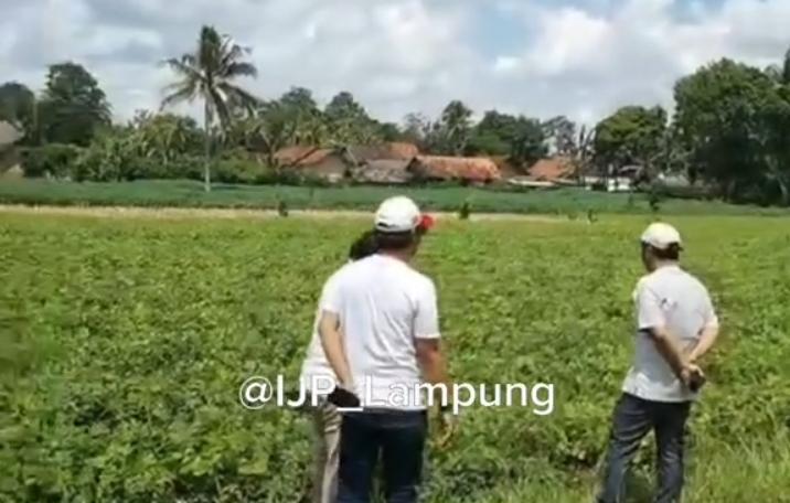 Lampung Targetkan Perputaran Ekonomi Rp 9 Triliun dari Hilirisasi Pangan dan Energi, Ini Strategi Pemprov