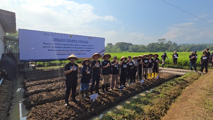 BULOG Salurkan Bantuan Rp50 Juta untuk Petani Kedelai di Sragen, Targetkan Lahan 70 Hektar