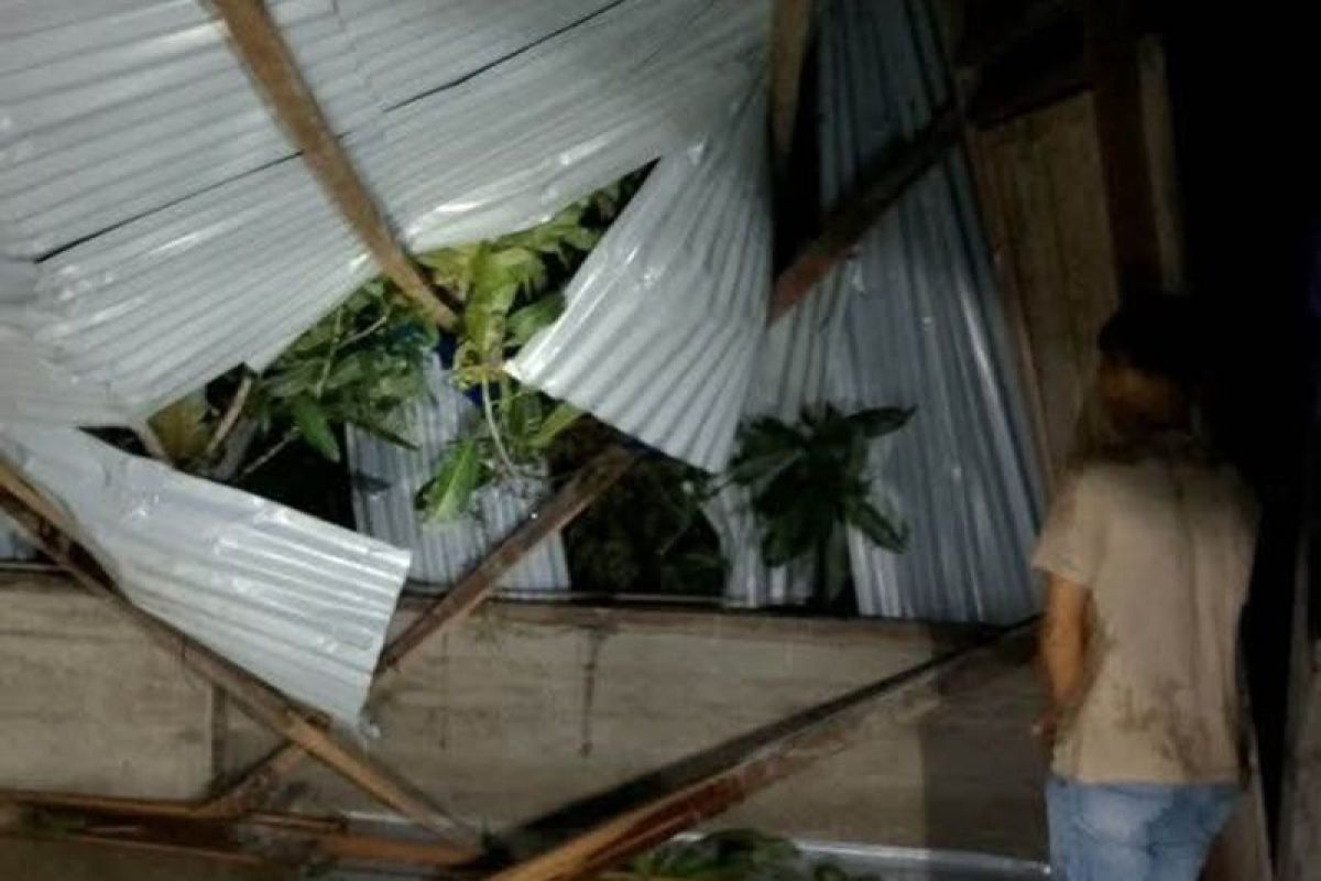 Pohon Mangga Tumbang Timpa Rumah Warga di Simeulue Akibat Cuaca Buruk, Kerugian Capai Puluhan Juta