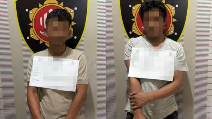Bandar Narkoba di Toba Sembunyikan 243 Pil Ekstasi Logo Batman dan Superman di Kandang Babi, Polisi Bekuk Dua Pelaku