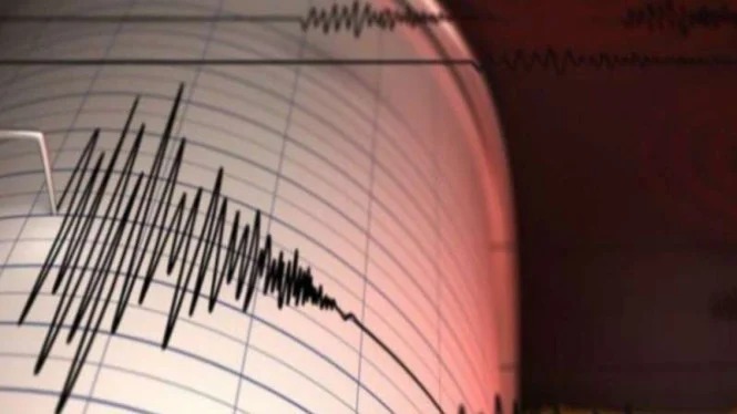 Gempa Magnitudo 3,1 Guncang Sumbawa Barat, Pusat di 75 Km Barat Daya, Tak Berpotensi Tsunami