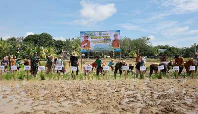 Bupati dan Wabup HSU Tanam Padi di Desa Panawakan, Targetkan Modernisasi Pertanian dan Atasi Banjir dengan Sungai Baru 20 Kilometer