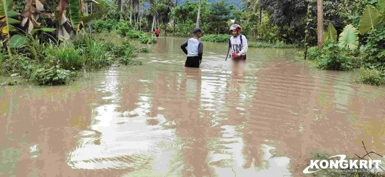 Banjir Rendam Puluhan Rumah di Polewali Mandar, Jalur Trans Sulawesi Lumpuh Total Selama 3 Jam