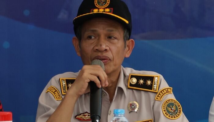 Karantina RI Sita 42 Ton Hortikultura Ilegal di Kalbar, Ancaman Virus dan Bakteri Mengintai Petani Bawang