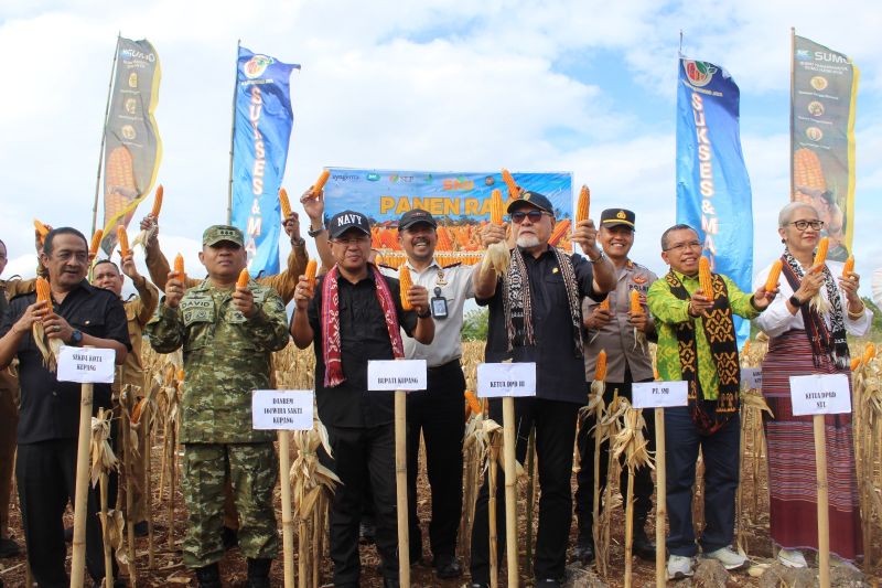 Lapas Kelas IIA Kupang Panen 10 Ton Jagung di Lahan Bekas Karang, Bukti Lahan Tidur NTT Bisa Produktif