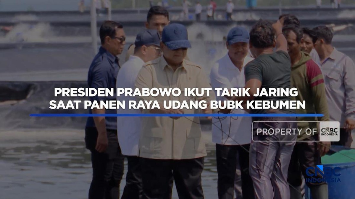 Produktivitas Tambak Udang Kebumen Capai 40 Ton per Hektar, Presiden Prabowo Turun Langsung Tarik Jaring