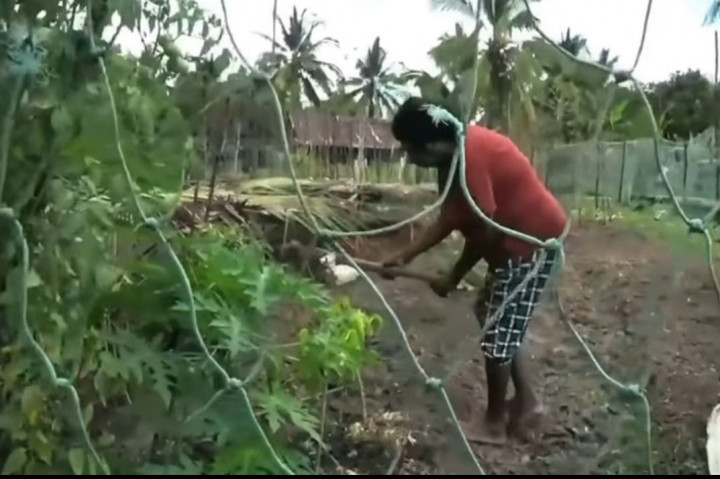 Kecewa Dimaafkan LBH, Tokoh Adat Papua Selatan Kini Dukung PSN Lumbung Pangan