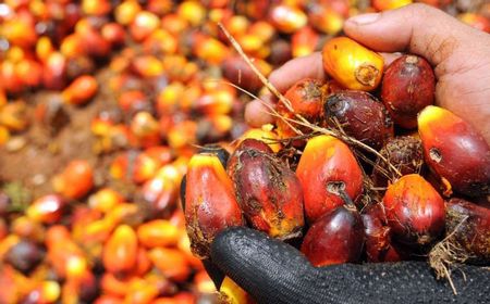 Danantara Sumber Daya Indonesia (DSI) Dinilai Bisa Bongkar Modus Kecurangan Ekspor Sawit dan Batu Bara, Kerugian Negara Capai Rp14,3 Triliun