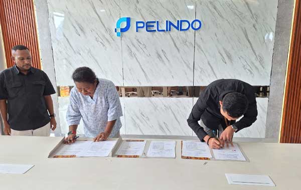 PLN Tambah Daya Listrik 2,18 MVA ke Terminal Petikemas Sorong, Gantikan Genset untuk Operasikan Dua Crane