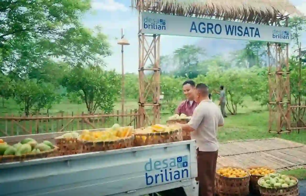 BRI Gandeng Unsoed, Targetkan 5.245 Desa Ikut Program Desa BRILiaN 2026