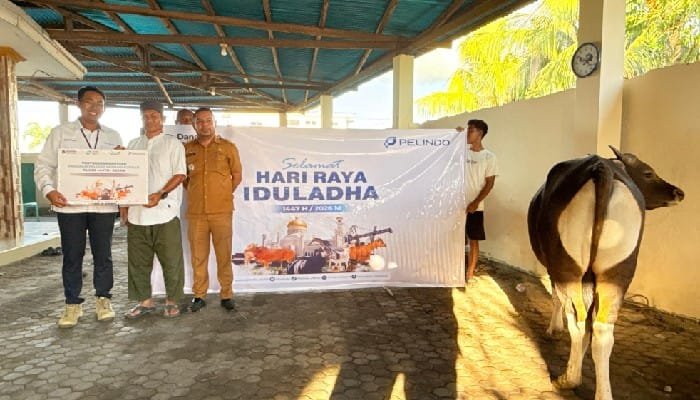 Pelindo Maumere Serahkan Satu Ekor Sapi Kurban untuk Warga Ring Satu Pelabuhan, Camat Alok Ucapkan Terima Kasih