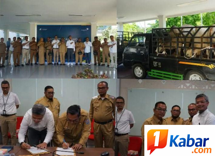 PT Angkasa Pura Aviasi Salurkan 14 Ekor Hewan Kurban ke Empat Kecamatan di Deli Serdang