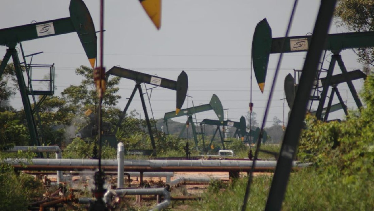 PHE Target Bor 800 Sumur Minyak di 2026 demi Lawan Penurunan Produksi Alami 24%