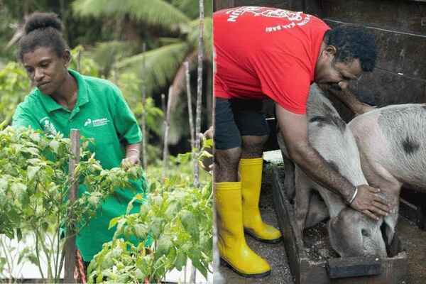 Pertamina Patra Niaga Kilang Kasim Raih TOP CSR Awards 2026 Bintang 4, Ubah Pola Berburu Jadi Petani Modern di Papua