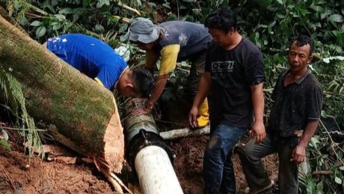 Pohon Tumbang Timpa Pipa Utama Air Bersih Perumda Sukabumi, 3.000 Pelanggan Terancam Krisis Air