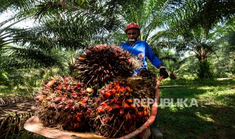 Harga TBS Sawit Anjlok, Wamentan Sudaryono Sebut Industri Kena Efek Psikologis Kebijakan Ekspor Satu Pintu